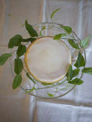 P1180560